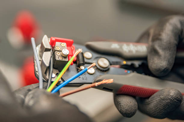 Best Local Electrician Companies  in Panora, IA