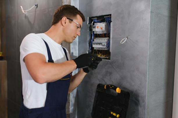 Best Electrical Troubleshooting Services  in Panora, IA