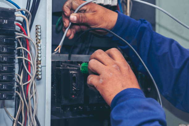 Best Electrical System Inspection  in Panora, IA